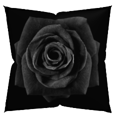 Rose Pillow Cover